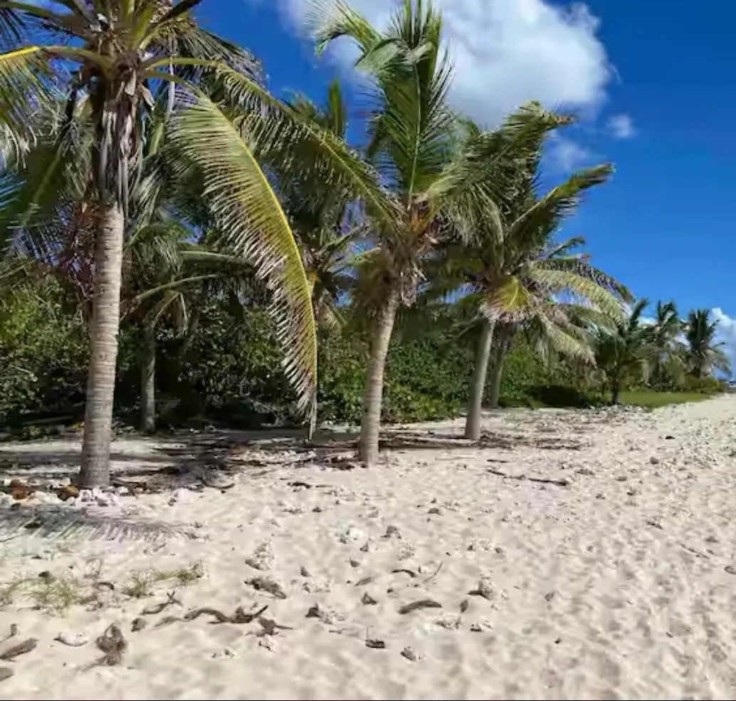 Villa Avalon, Paradis Vue Mer Avec Acces Direct A La Plage Par Le Jardin! Saint-Francois  Guadeloupe