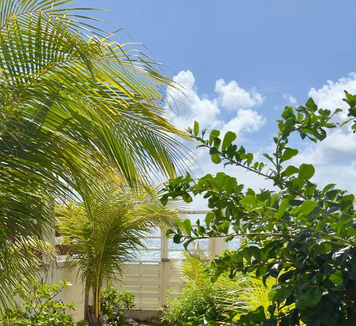 Villa Avalon, Paradis Vue Mer Avec Acces Direct A La Plage Par Le Jardin! Saint-Francois  Saint-Francois (Grande-Terre)